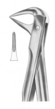  Fig. 74XN lower roots and crowded incisors 